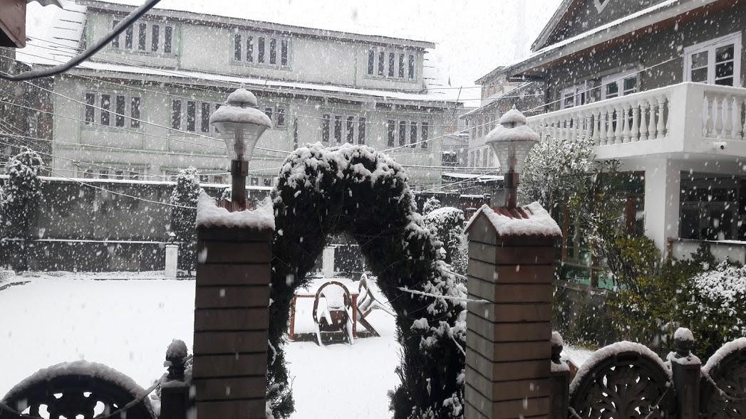 Blooming Dale Hotel Srīnagar Buitenkant foto